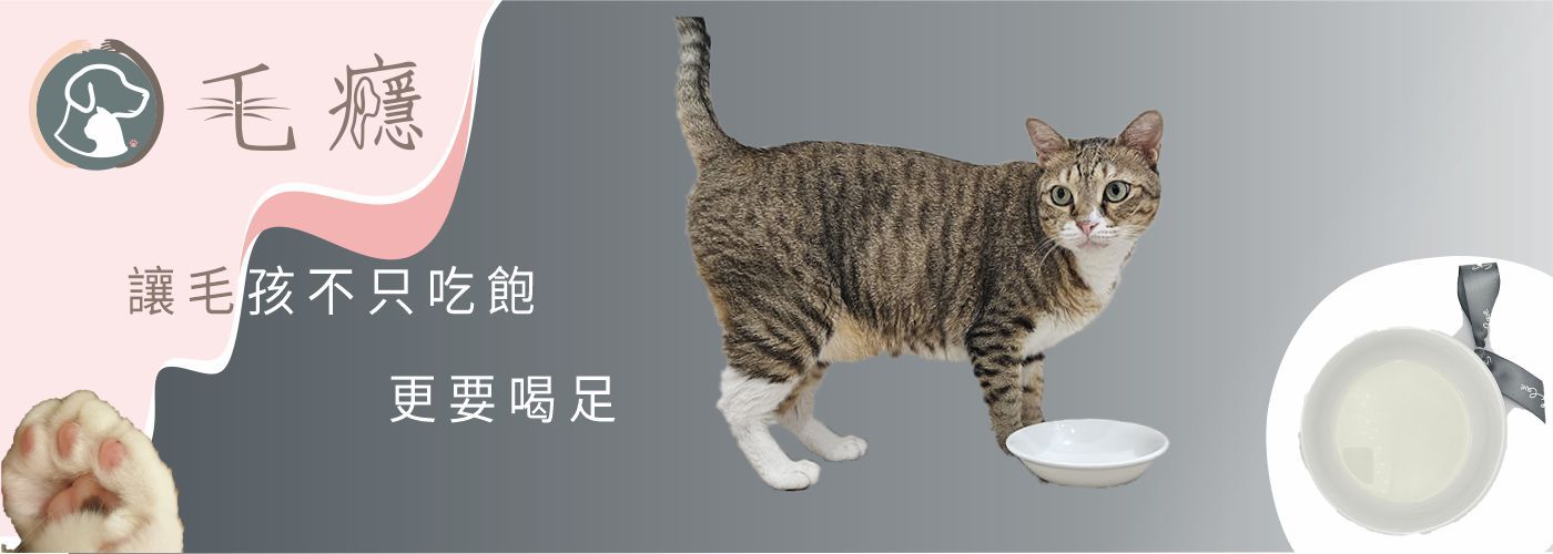 第一商品#